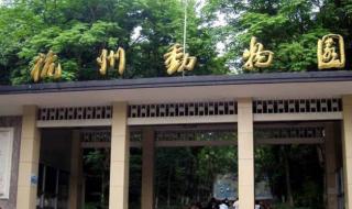 杭州海底世界好玩吗 杭州海底世界好玩吗